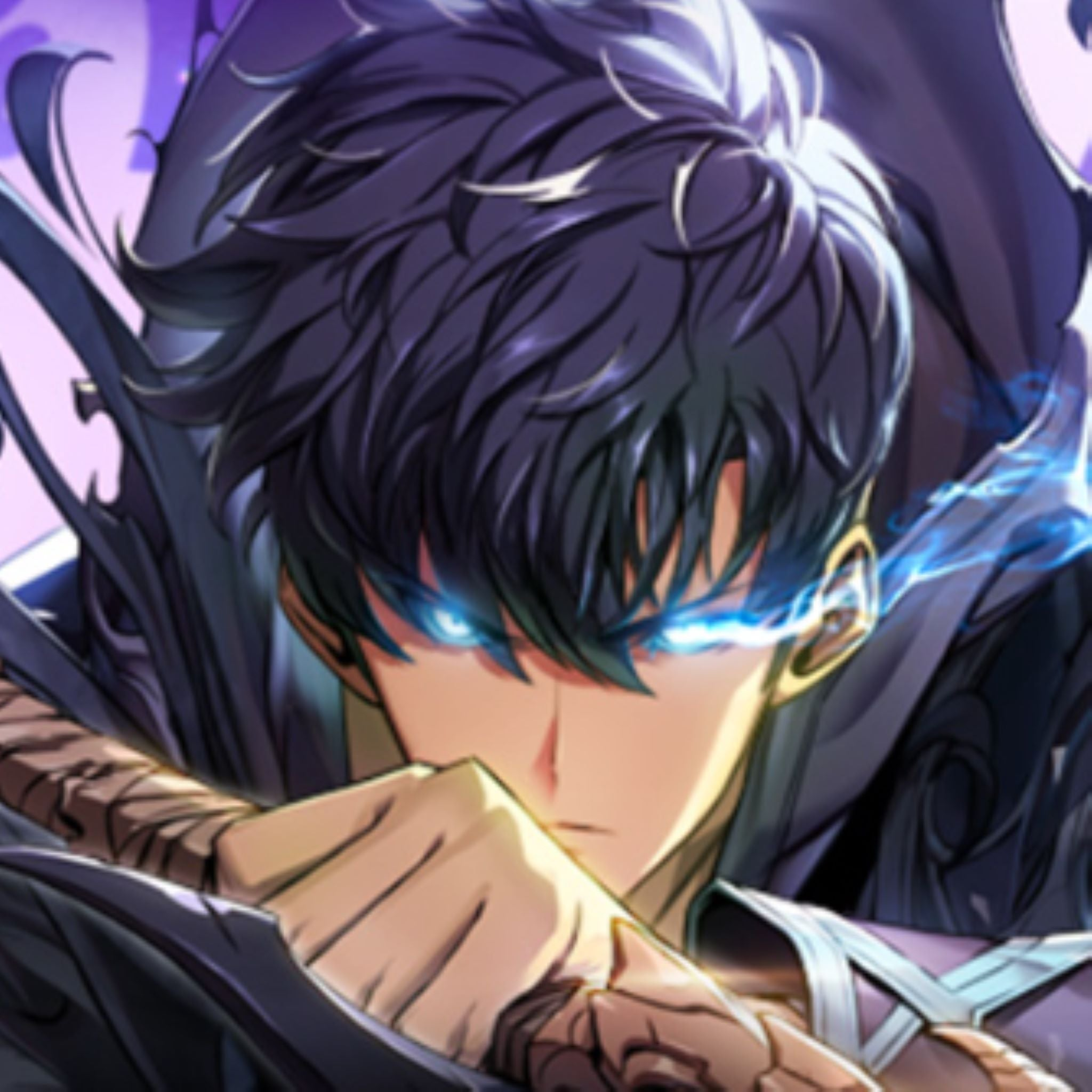 Solo Leveling Accounts