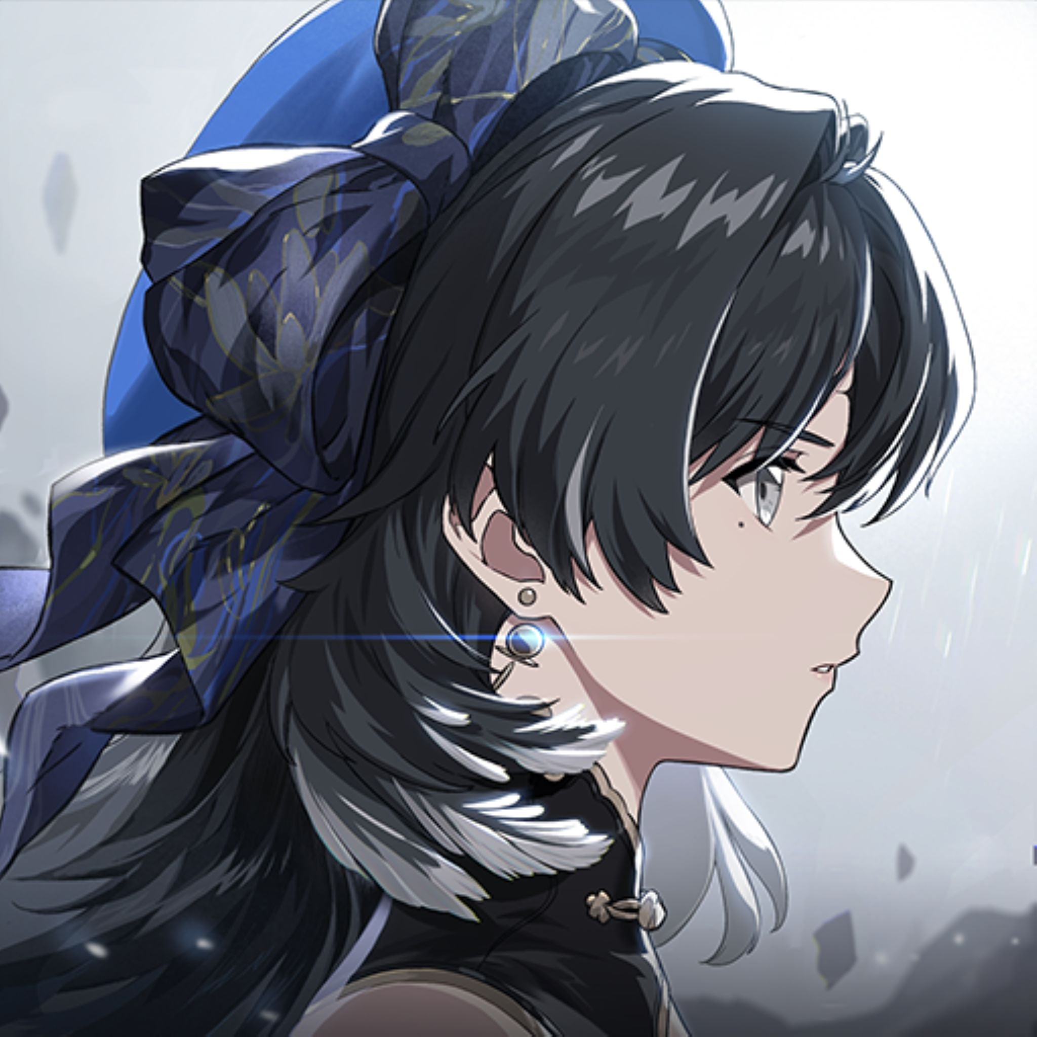 Wuthering Waves Accounts